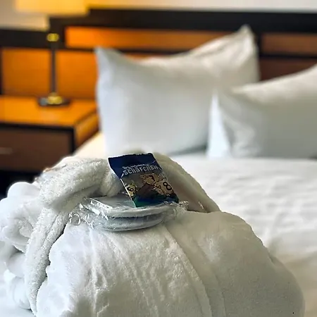Hotel Airport 3*